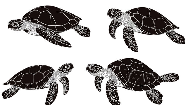 A monochrome illustration of four sea turtles in varying positions on a white background