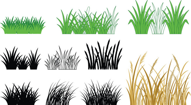 Green grass black silhouettes and golden wheat plant collection isolated on white background for landscaping and agricultural design