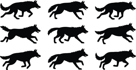 Obraz premium Black Silhouette Wolf Running Action Pose Set with Different Motion Frames for Wildlife and Animal Design Elements