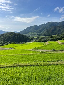 Obasute Terraced Rice Fields in Chikuma, Nagano, Japan