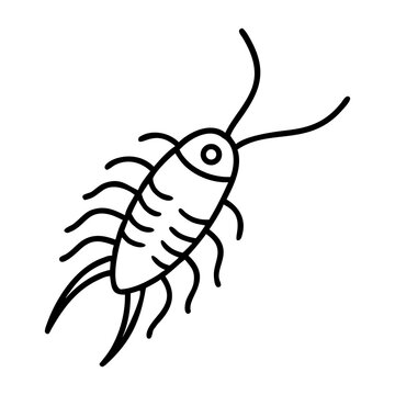 Ink Silverfish Illustration: A minimalist, clean illustration of a silverfish bug, rendered in crisp black lines on a blank backdrop, perfect for design usage.