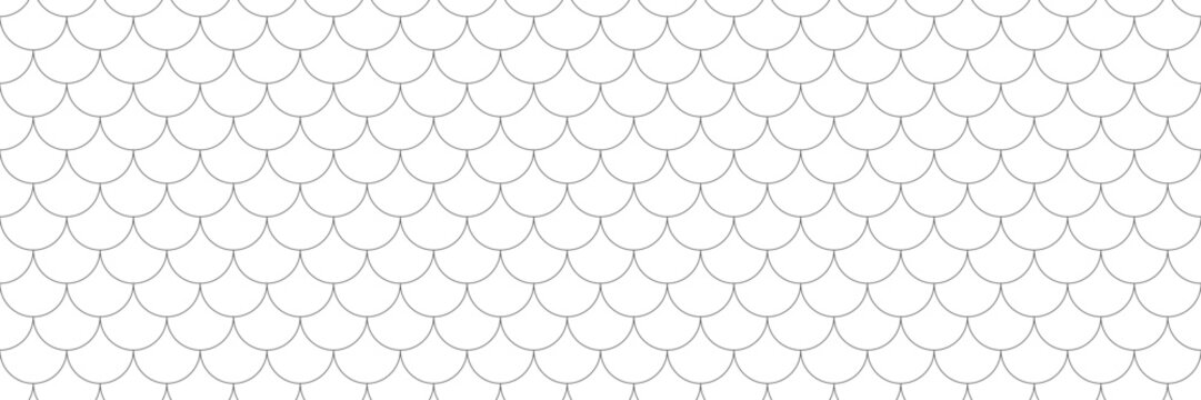 Scale Fish texture pattern. Dragon seamless background. Scarllop geometric tiles. Vector