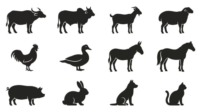 Flat silhouette vector icon set of Asian livestock animals, water buffalo, zebu cattle, native goat, fat-tailed sheep, village chicken, Muscovy duck, mule, working horse, pig side view