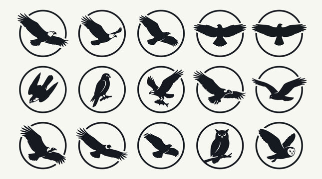Flat silhouette icon set of birds of prey  bald eagle  golden eagle  hawk  falcon diving pose  kestrel perched  osprey  vulture  condor  harrier  buzzard  owl perched  barn owl flying