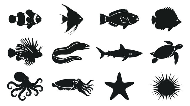 icon  nature  bird  symbol  set  illustration  isolated  animal  design  vector  black  collection  white  silhouette  wildlife  logo  pigeon  wild  sign  flight  birds  hawk  eagle  beak  art  predat
