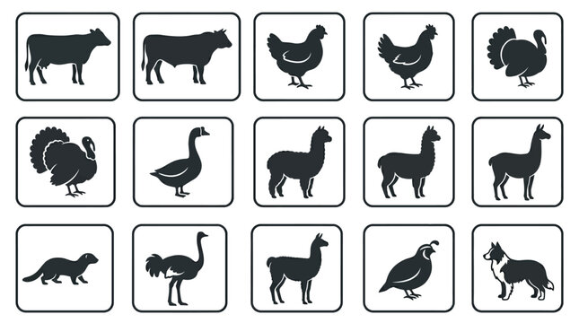 Flat silhouette icon set of modern farm animals  dairy cow  beef cattle  broiler chicken  laying hen  turkey  goose  alpaca  llama  mink  ostrich  quail  farm dog
