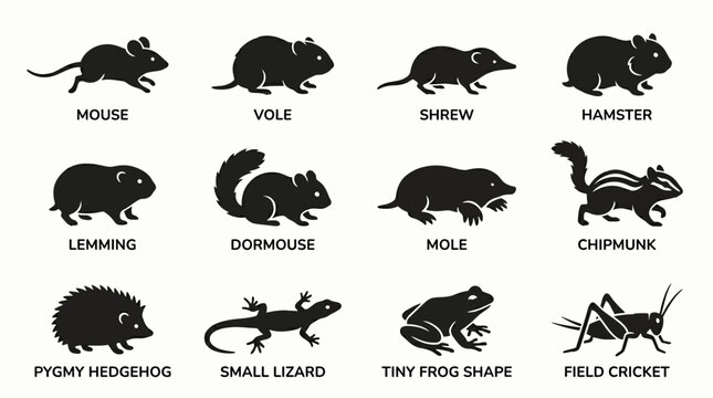 Flat silhouette icon set of small animals and microfauna  mouse  vole  shrew  hamster  lemming  dormouse  mole  chipmunk  pygmy hedgehog  small lizard  tiny frog shape  field cricket