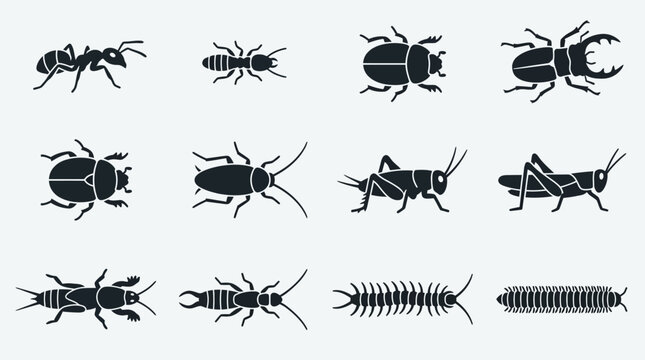 Flat silhouette icon set of ground insects  ant  termite  beetle  stag beetle  scarab  cockroach  cricket  grasshopper  mole cricket  earwig  centipede