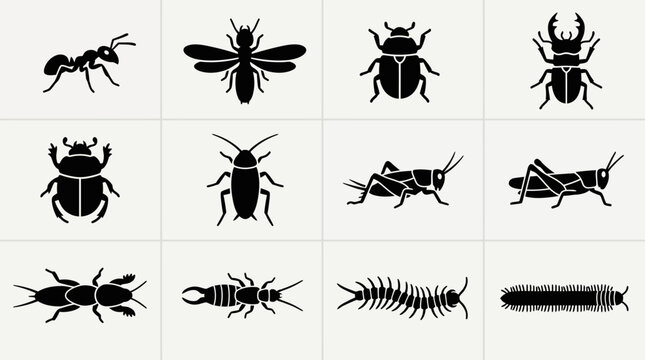 Flat silhouette icon set of ground insects  ant  termite  beetle  stag beetle  scarab  cockroach  cricket  grasshopper  mole cricket  earwig  centipede