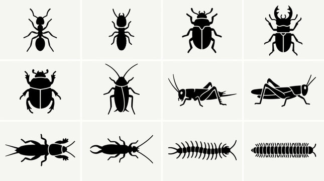Flat silhouette icon set of ground insects  ant  termite  beetle  stag beetle  scarab  cockroach  cricket  grasshopper  mole cricket  earwig  centipede