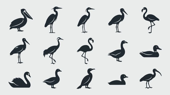 Flat silhouette vector icon set of water birds  pelican  heron  egret  stork  crane bird  flamingo  swan  goose  duck  cormorant  grebe