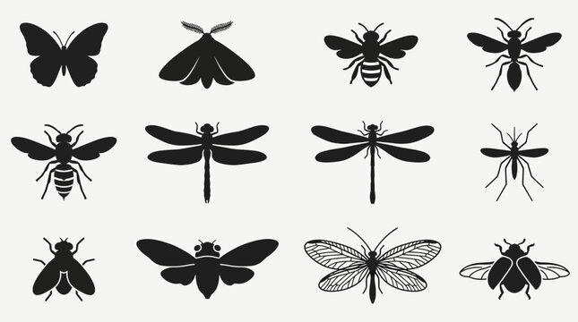 Flat silhouette vector icon set of flying insects  butterfly spread wings  moth  bee  wasp  hornet  dragonfly  damselfly  mosquito  fly  cicada  lacewing  beetle flying