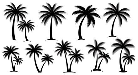 Obraz premium Set of black palm tree silhouettes isolated on white background