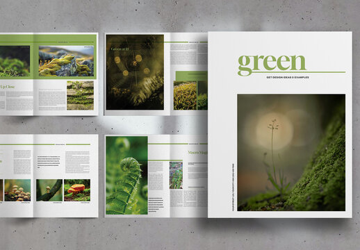 Green and White Minimal Nature Travel Magazine Brochure Layout