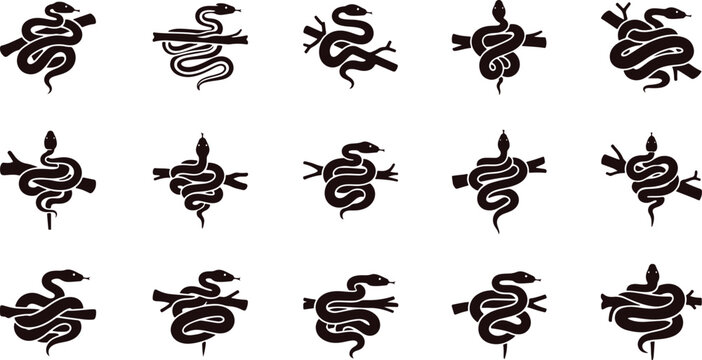 Set of snake entwined around branches in silhouette on transparent background.