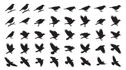 Bird Takeoff Motion Sequence Silhouettes Set Pack, Editable Vector Stroke Illustrations. containing bird, silhouette, vector, graphic, illustration, animal, design, flight, flying and more silhouettes © MasterTech