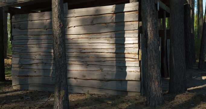 Shadows from trees moving on a wooden shack in the forest, cinematic view