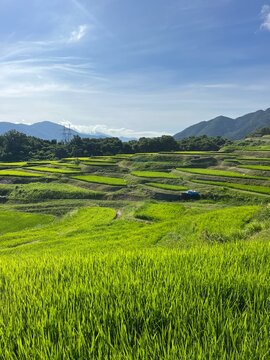 Obasute Terraced Rice Fields in Chikuma, Nagano, Japan