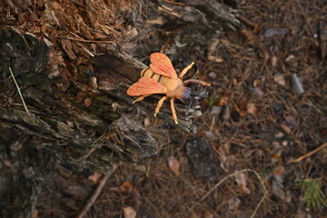 Obraz premium Toy insect resembling a bee sitting on a tree stump, illustrating artificial concept life and habitat