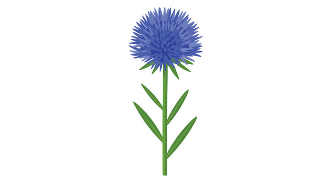 Single Blue Cornflower Illustration with Green Stem and Leaves Isolated on White Background
