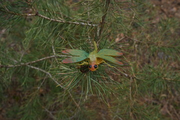 Fototapeta premium Toy dragonfly on a pine branch, blending artificial insect with natural forest environment concept