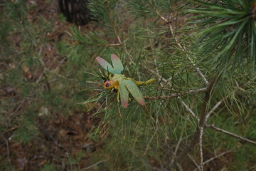 Fototapeta premium Toy dragonfly on a pine branch, blending artificial insect with forest environment natural concept