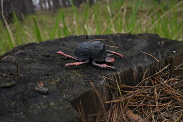 Fototapeta premium Black plastic beetle toy resting on an old tree stump in a forest, contrasting artificial object natural and environment