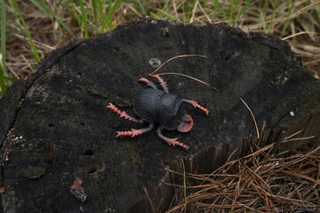 Fototapeta premium Toy insect with pink legs sitting on weathered tree stump, representing childhood connection play nature