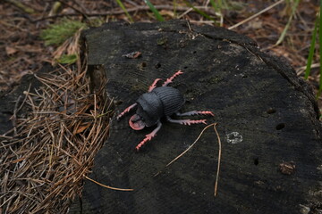 Fototapeta premium Toy insect with pink legs sitting on weathered tree stump, representing childhood connection nature and play