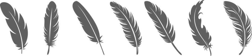 Obraz premium Black Feather Silhouette Vector Set, Hand Drawn Bird Plume Collection, Decorative Nature Illustration PNG Transparent