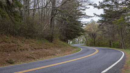 Obraz premium Curving Scenic Mountain Road Through Forest in Early Spring