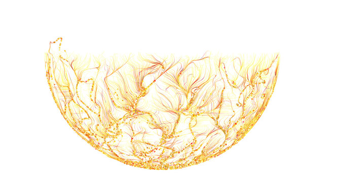 Abstract golden lines form a semi-circle against white background. Perfect for design projects.