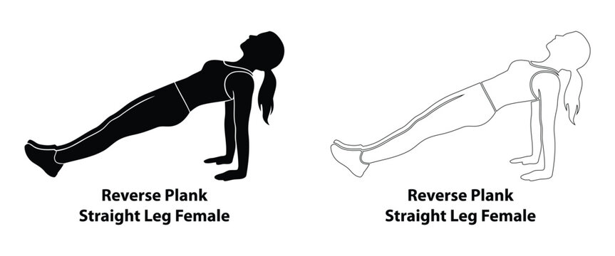 Female reverse plank straight leg exercise illustration featuring a black silhouette and line art outline for fitness, core workout and healthy living