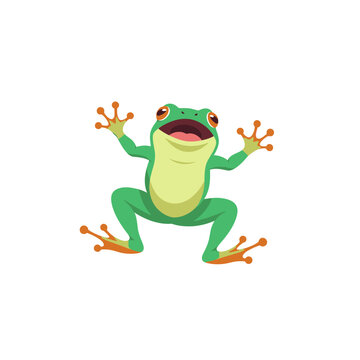 Funny green cartoon frog with big eyes and open mouth, climbing on a white background, isolated