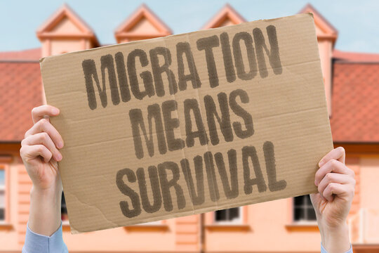 "Migration Means Survival" For most documented migrants, crossing borders represents a response to existential threat rather than economic preference. BORDER. MIGRANT. SURVIVAL. EXISTENTIAL. THREAT.