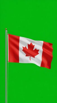Red and white flag with maple leaf waves gently. Green screen background allows easy digital replacement. Natural movement suggests wind and light breeze