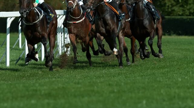 Super Slow Motion of Running Horses on Derby in Detail of Horses Legs. Filmed on High Speed Cinema Camera, 1000 fps. Outdoor Race.