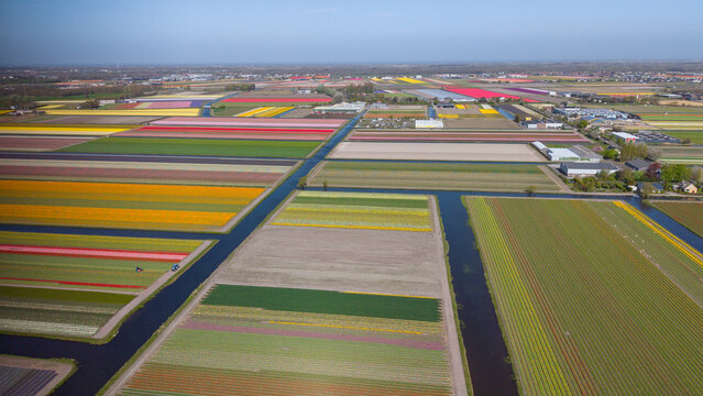 Aerial view of vibrant tulip fields at Keukenhof with colorful rows of flowers and narrow canals under a clear blue sky in Lisse, Netherlands.