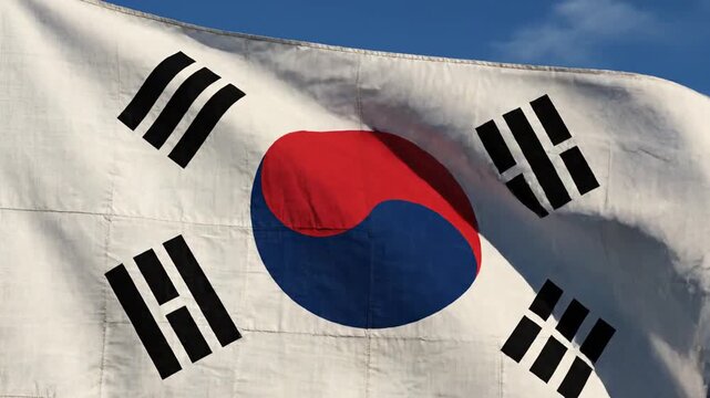 South Korean flag waving freely outside.