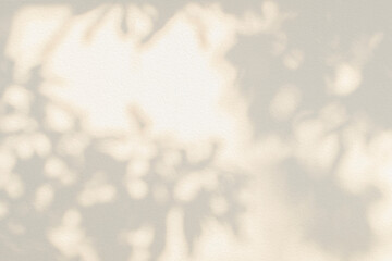 Leaf shadow and light beige background. Nature tropical leaves plant and tree branch shade with sunlight on wall texture for background wallpaper and design, shadow overlay effect © merrymuuu
