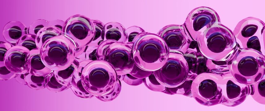 divisione cellulare, rendering 3d