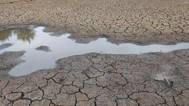 The water in a pond dries up from lack of water