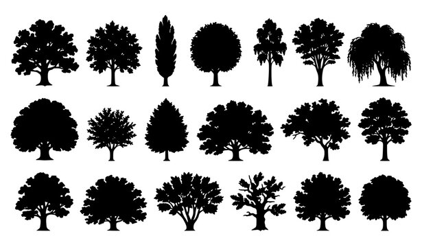 Deciduous tree silhouette vector set with various forest tree shapes isolated on white background