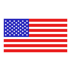 Obraz premium United States flag