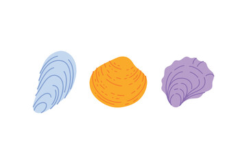 Collection of three different bivalve sea shells in blue, yellow, and purple colors. Vector illustration for marine life biology, summer vacation, and coastal decor © Sunflower