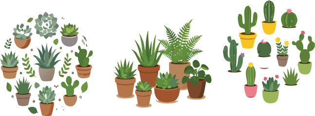 Succulent and cactus plants set with potted desert and indoor greenery, decorative houseplants vector illustration collection © Sumon Creative