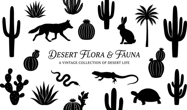 Desert flora and fauna icons silhouette vector illustration featuring cactus motifs, decorative animal designs, abstract nature patterns, and vintage art