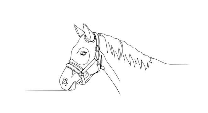 Horse head with bridle profile. One line drawing minimalist vector illustration. Continuous line art of equestrian animal isolated on white background