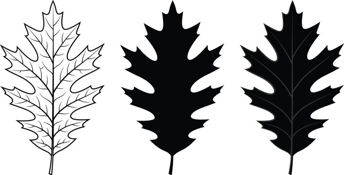 Oak leaf icons silhouette vector illustration featuring botanical motifs, decorative foliage designs, abstract vein patterns, and modern nature art