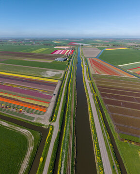 Aerial view of vibrant tulip fields in bloom with a straight canal, railway tracks and rural roads under a clear blue sky.